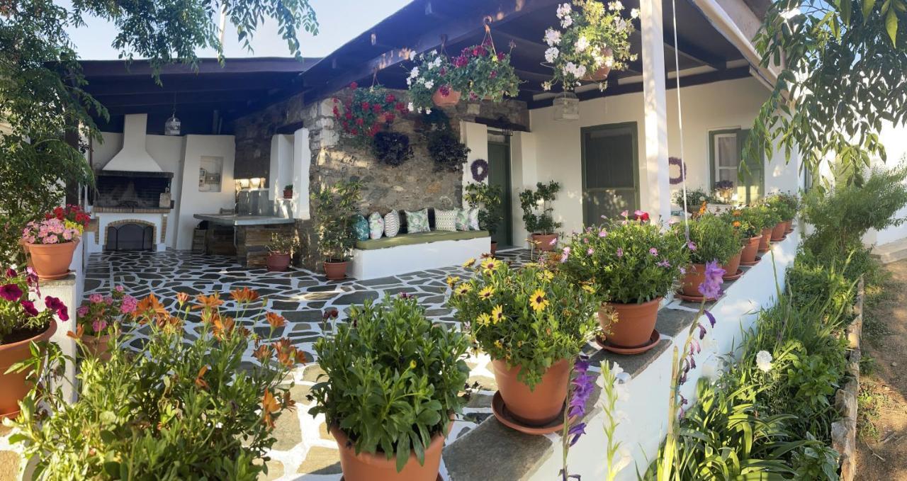Ktima Dimitrios Villa Naxos City Luaran gambar