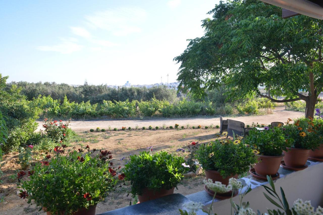 Ktima Dimitrios Villa Naxos City Luaran gambar