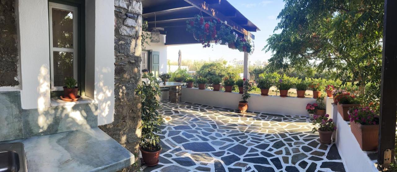 Ktima Dimitrios Villa Naxos City Luaran gambar